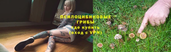 2c-b Аркадак