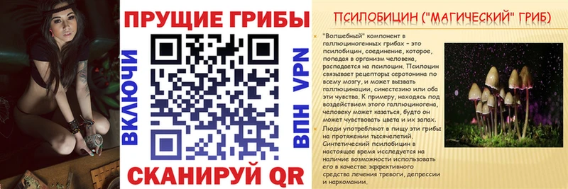 Псилоцибиновые грибы мухоморы  Тайшет 
